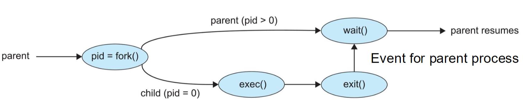 Process Creation in UNIX